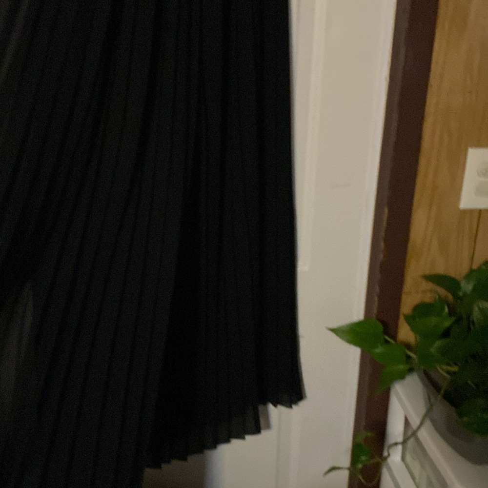 Black pleated pants